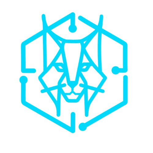 LinqX logo in blue